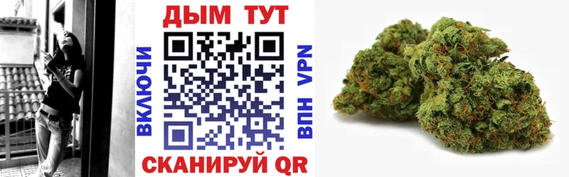 Где продают наркотики Ярославль A-PVP МЕФ COCAIN mega как войти MDMA Бошки Шишки ГАШ