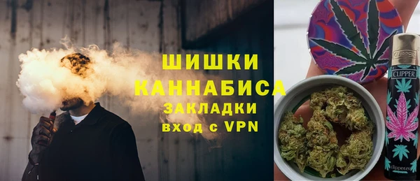 крисы Бородино