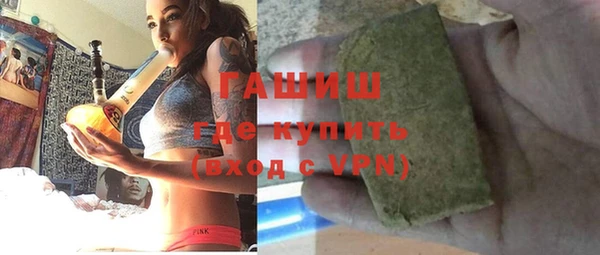 крисы Бородино