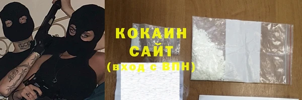 крисы Бородино