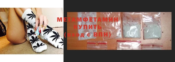 молекула духа Богданович