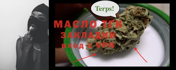 крисы Бородино