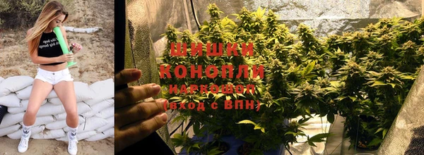 хмурый Бронницы