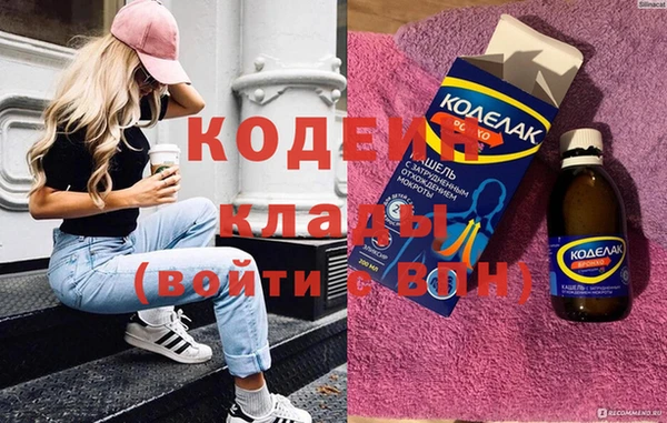 крисы Бородино