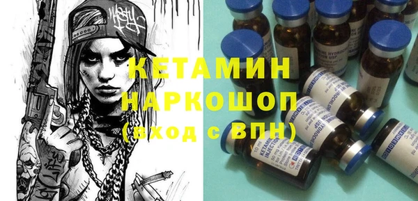 крисы Бородино