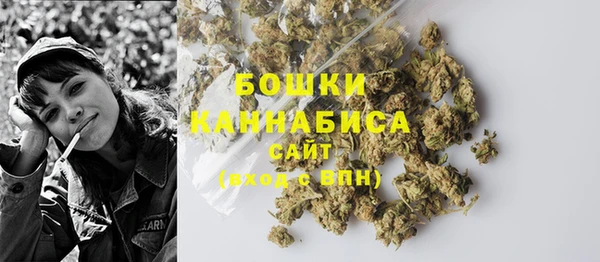 крисы Бородино