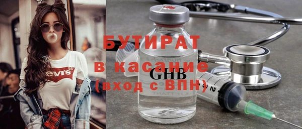 крисы Бородино