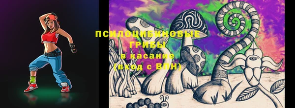 хмурый Бронницы