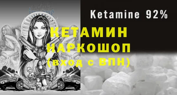 крисы Бородино