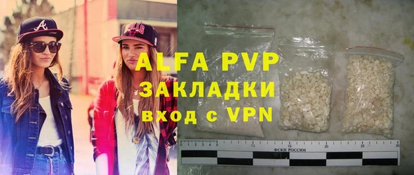 крисы Бородино