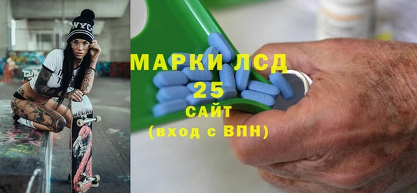 крисы Бородино