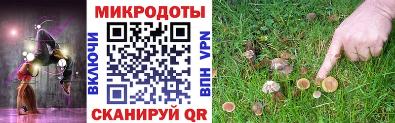 Галлюциногенные грибы Psilocybe Ярославль